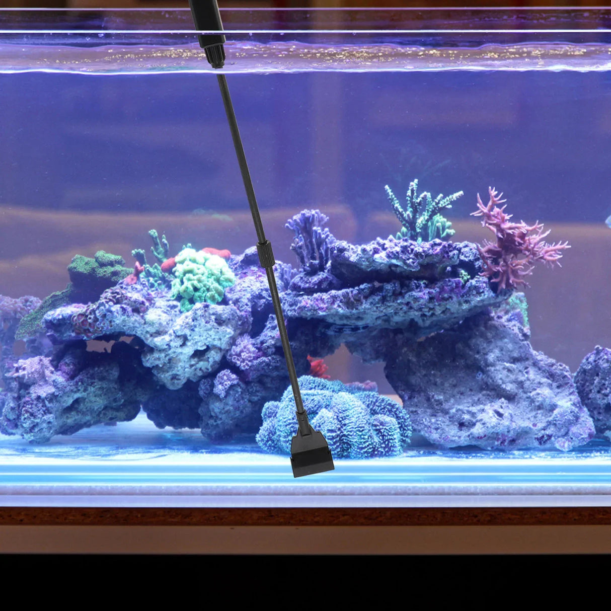 Fish Tank Algae Scraper for Glass Aquariums Long