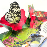 Usborne Pop Up Butterflies English 3D Flap Picture
