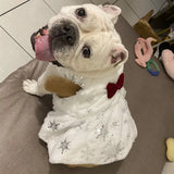 French Bulldog Dress Winter Pug Dog Clothes Christmas