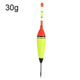 6g/8g/10g/15g/20g/30g EVA Luminous Fishing Float Long Vertical Night