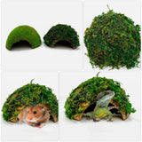 Reptile Hideout House Terrarium Tank Hamster Shelter Tortoise
