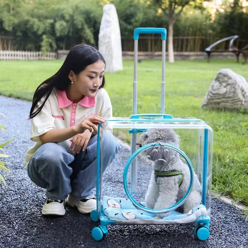 Stroller Kitten Cat Carriers Crate Backpack Transporter Cat