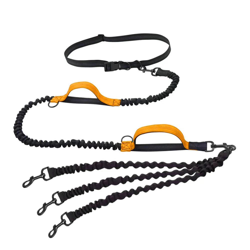 Dog Leash Hands-free Leash Suitable for Pets Running