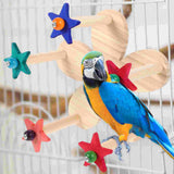 Parrot Toy Bird Perches for Cockatiels Parakeet Cage