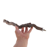 Pet Parrot Bird Standing Stick Grape Wood Pole