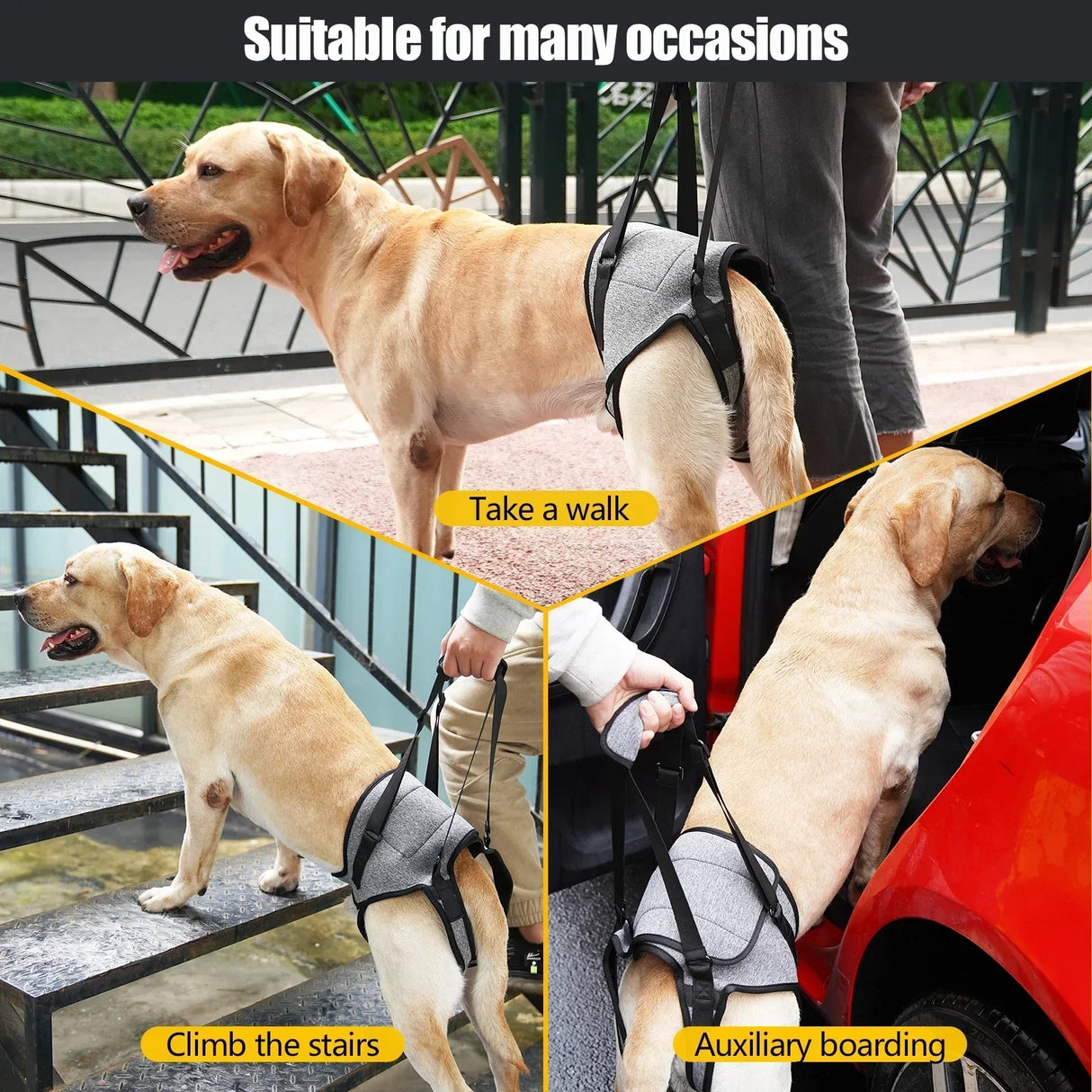 Dog Harness Support Brace for Leg Injury Protector