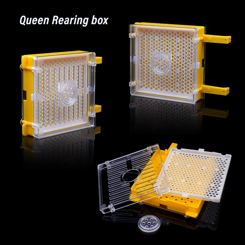 Germany Jenter Queen Rearing Kit Nicot Bee Queens