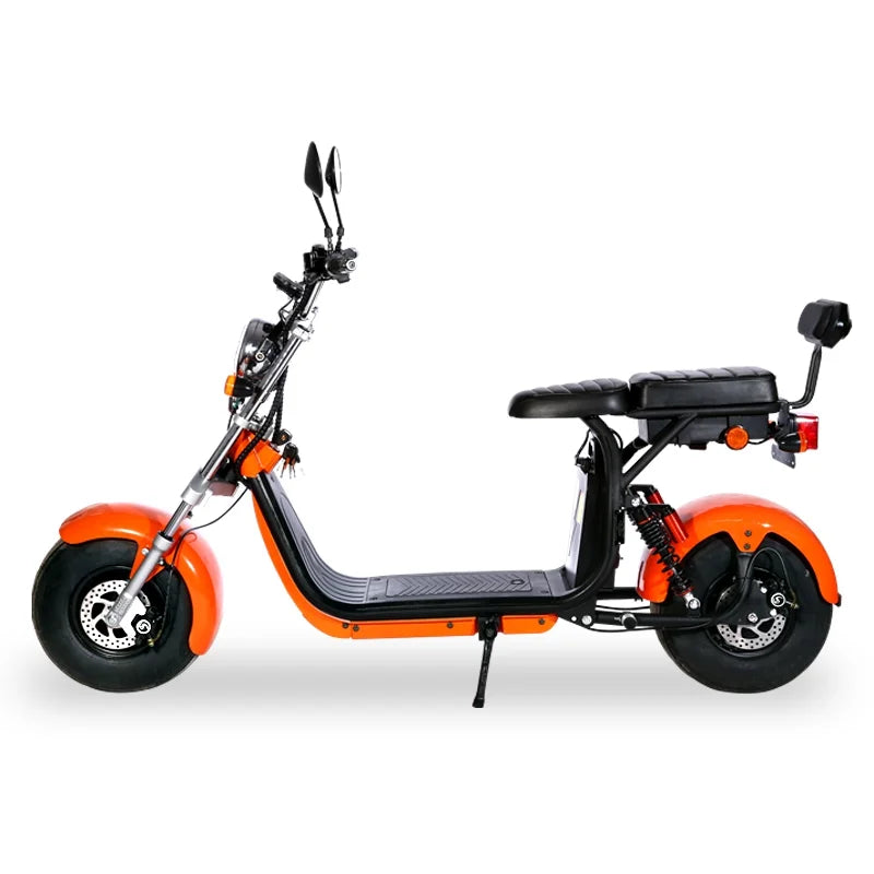 EEC COC electric bike Two wheel electric citycoco