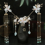 Chinese Hanfu Hair Accessories Set Long Fringed Vintage