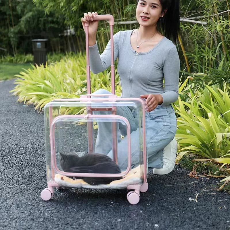 Stroller Kitten Cat Carriers Crate Backpack Transporter Cat