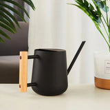 Plant Watering Can With Long Spout 900ml Large