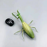 RC Animal Robot Antistress Insect Toys Infrared Simulation