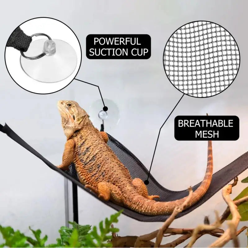 2 Pack Bearded Dragon Hammock Lizard Lounger Ladder