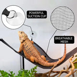 2 Pack Bearded Dragon Hammock Lizard Lounger Ladder