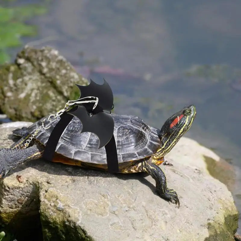 Adjustable Small Turtle Leash Lizard Traction Rope Tortoise