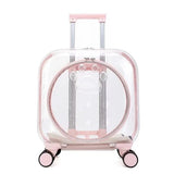 Stroller Kitten Cat Carriers Crate Backpack Transporter Cat