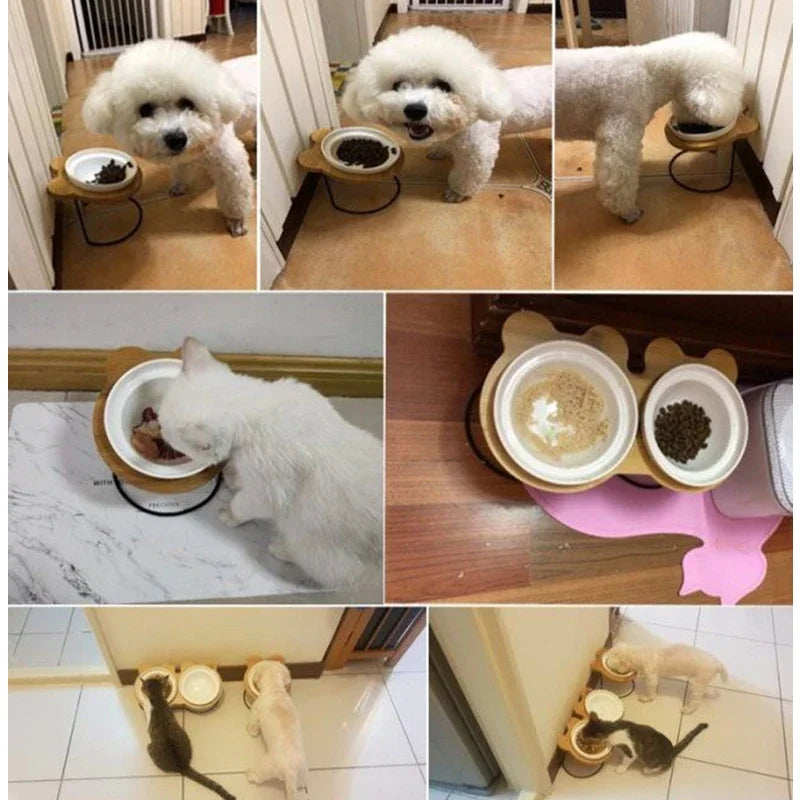 New High-end Pet Bowl Bamboo Shelf Ceramic Feeding