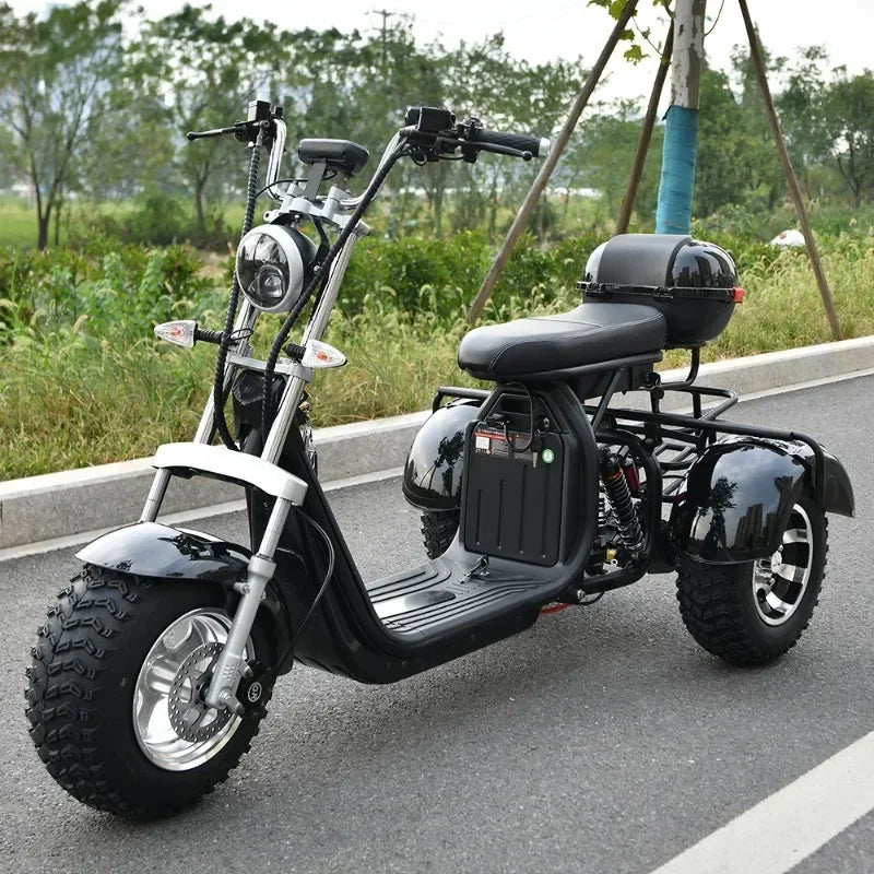 China 3wheel Three speed regulation Charge Power Mobility