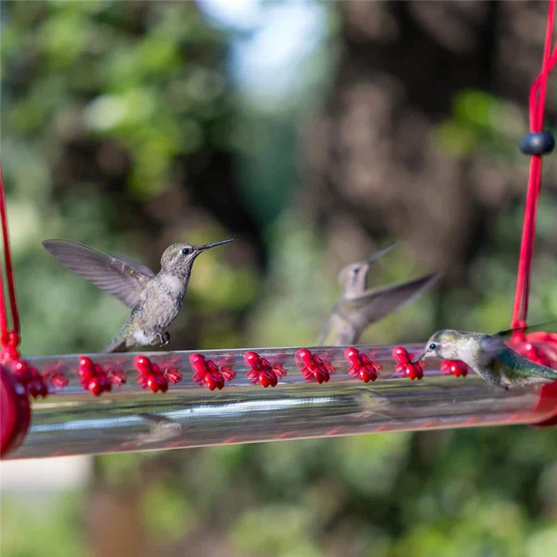 Hummingbird Feeder with Hole Birds Feeding Transparent Pipe