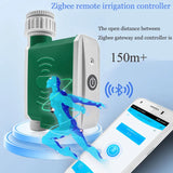 Tuya Smart Zigbee Automatic Irrigation Sets Rain /Snow