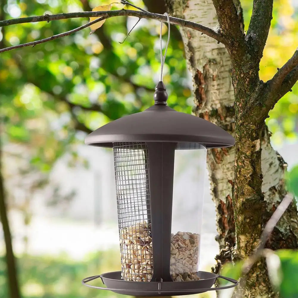 2-in-1 Bird Feeder for Garden Weather Resistant Metal