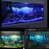 Aquarium Background Sticker, Underwater Cave Stone HD Printing