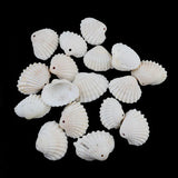 50pcsLot White Sea Shell Beads for Jewelry Making