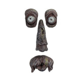 Bark Ghost Face Facial Features Old Man Tree