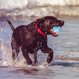 Moving Dog Toy Smart Interactive Pet Ball Automatic