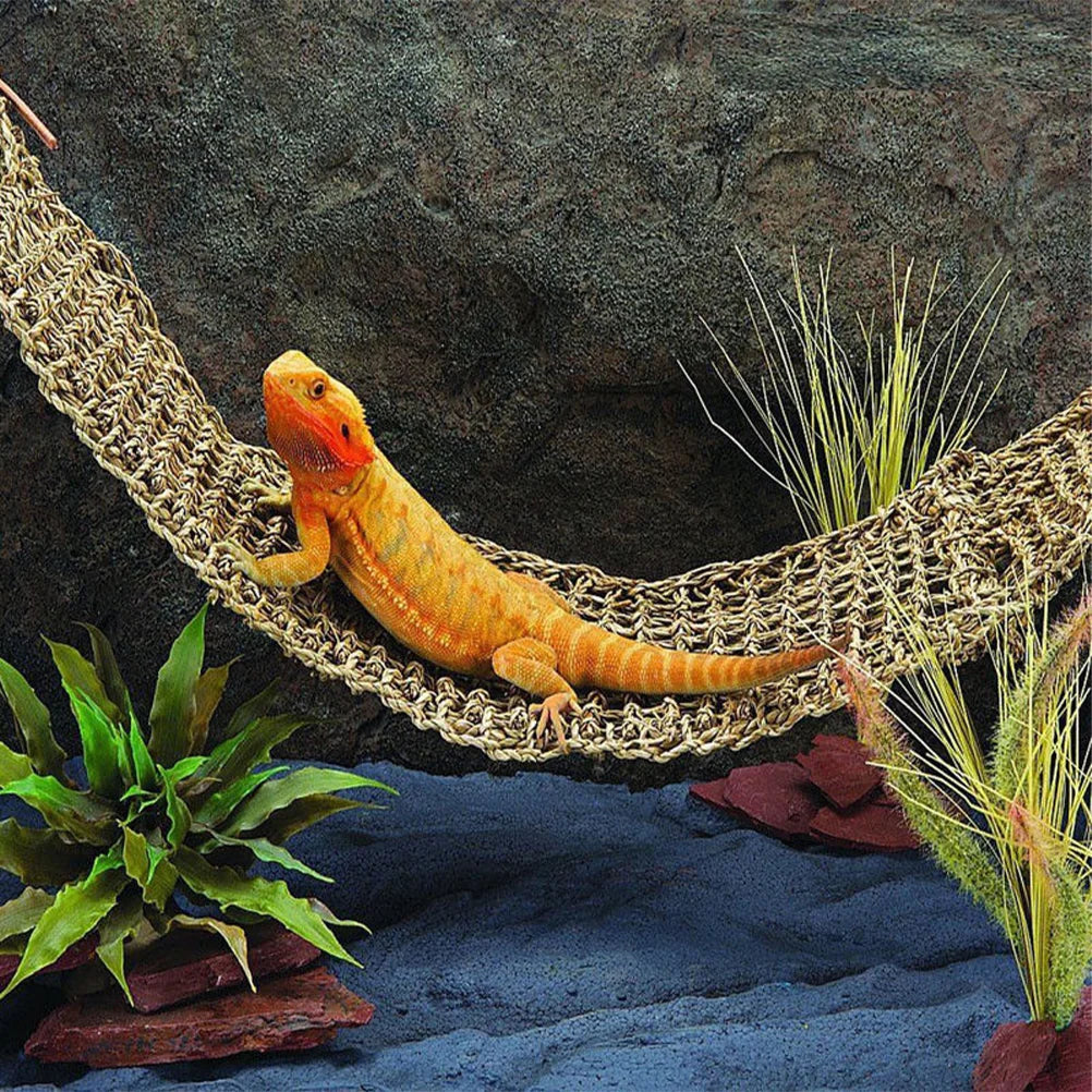 2 Pcs Climbing Pet Hammock Lizards Toys Seagrass