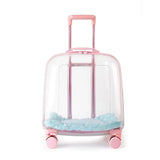 1PCS Clear pet backpack, cat carrier bag, portable