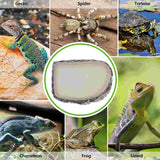 Lizard Snake Water Basin Multi-function Food Dispenser Terrarium