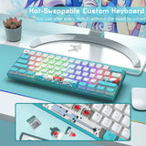 Womier WK61 Mechanical Keyboard RGB Wired Gaming Keyboard