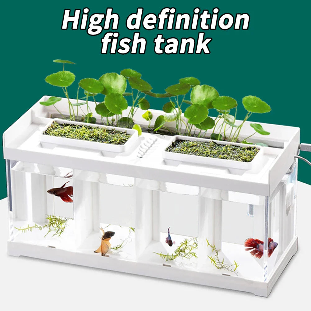 Mini Aquarium With Filter LED Light Fish Tank