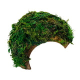 Reptile Hideout House Terrarium Tank Hamster Shelter Tortoise