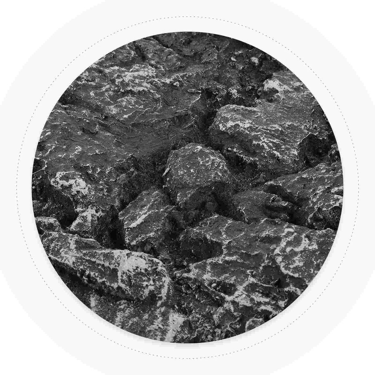 Background Rock Slab 3d Aquarium Terrarium Decor Reptile