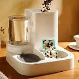 2 in 1 Cat Food Dispenser Feeder Dog