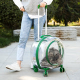 Trolley Case Travel Tote Cats Dogs Carrying Bag