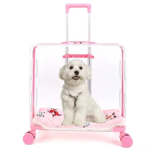Stroller Kitten Cat Carriers Crate Backpack Transporter Cat