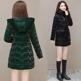 New Down Cotton Coat Women 2023 Korean Cotton