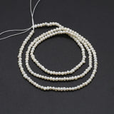 Natural Freshwater Pearls Beaded Irregular Round Loose Spacer