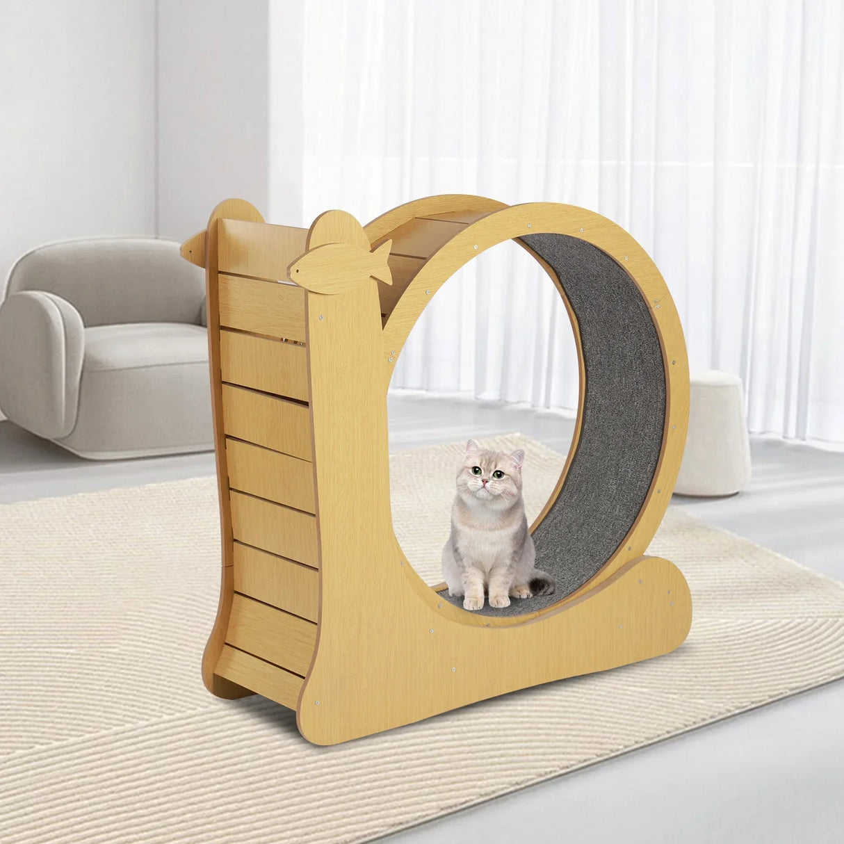 Fitness Exercise Wheel for Cats, Large Cat Treadmill