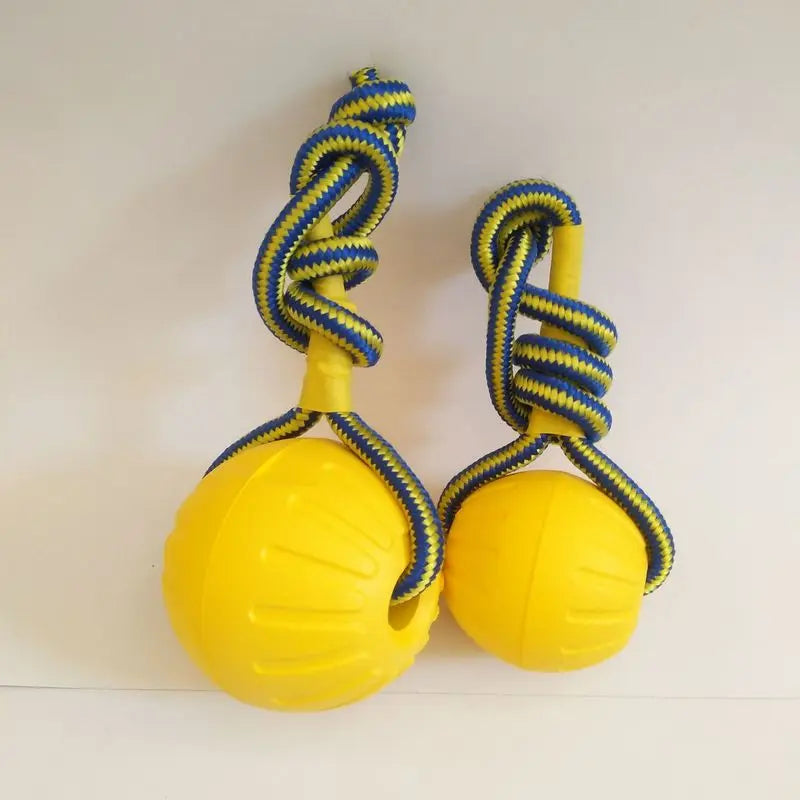 Interactive Dog Toys Rope Ball Toy For Play