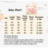 0-2 Years Newborn Baby Girl Fluff Hooded Clothes