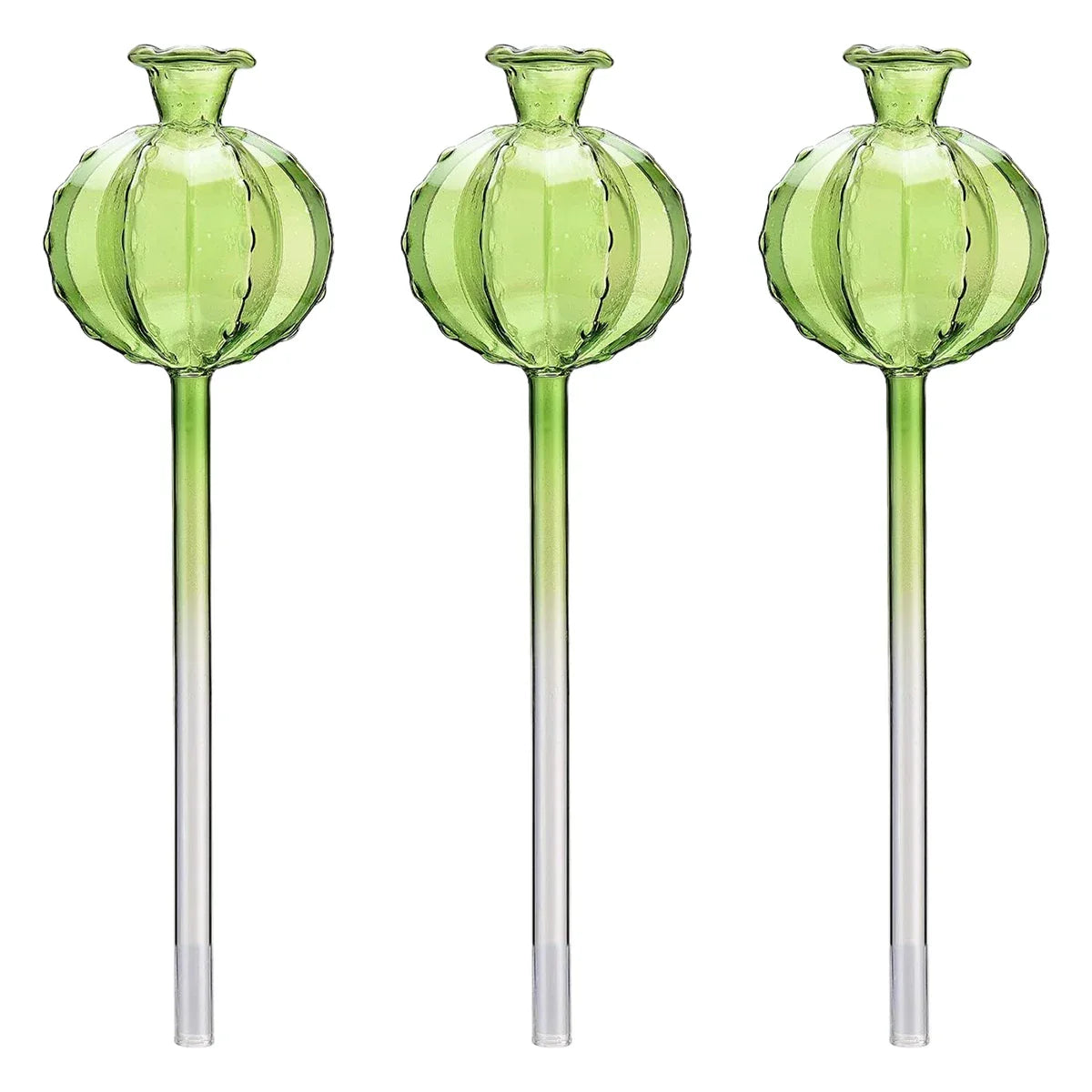 3/6Pcs Plant Self Watering Globes Automatic Plant Water