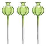 3/6Pcs Plant Self Watering Globes Automatic Plant Water