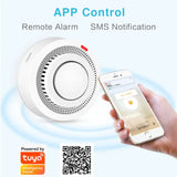 Tuya Smart Zigbee WiFi Smoke Detector Smart Fire