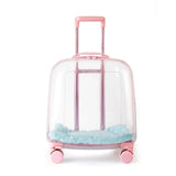 Clear pet backpack, cat carrier bag, portable capsule,