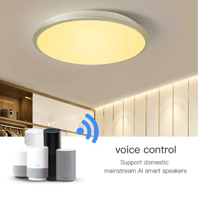 ZigBee Tuya Smart Backlit Ceiling Light With Voice