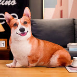 3D Simulation Dog Shiba Inu Bulldog Labrador Corgi